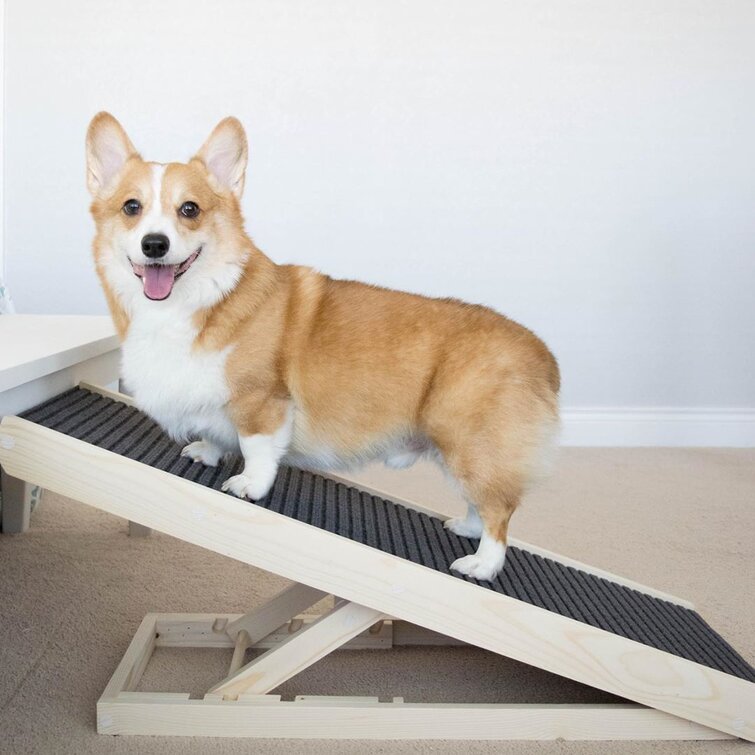 Corgi ramp on sale